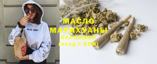 стаф Вяземский