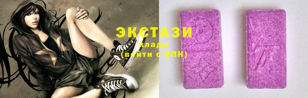 стаф Вяземский