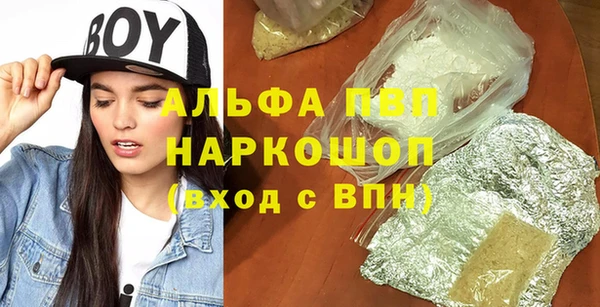 стаф Вяземский