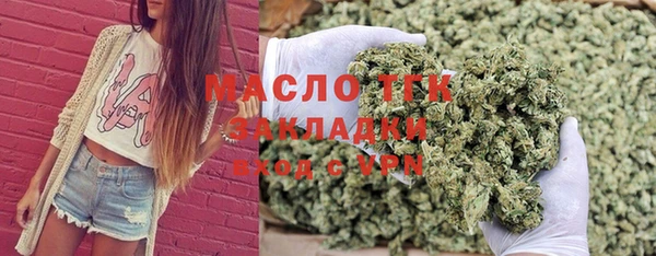 стаф Вяземский