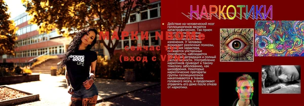 стаф Вяземский