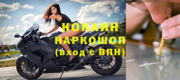 стаф Вяземский