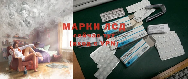 стаф Вяземский
