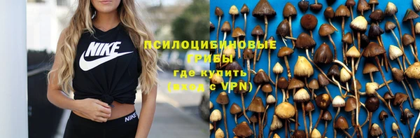стаф Вяземский